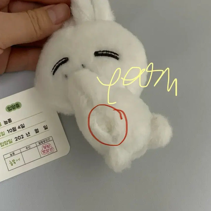 [BUNJANG] SEVENTEEN Jeonghan "Nupjjong" Doll / 눕쫑이 세븐틴 정한 인형