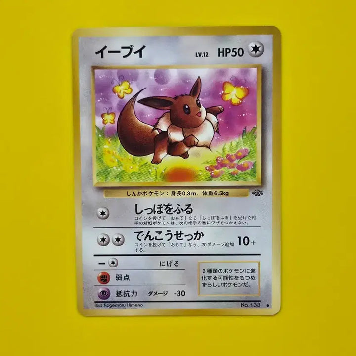 [BUNJANG] Pokemon Card Eevee Jungle Set 1997 Japanese / 포켓몬카드 1997 이브이 초기카드 일본판