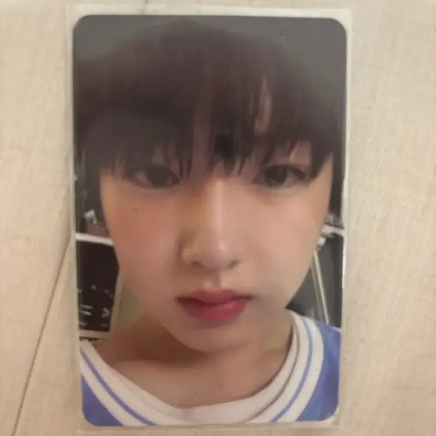 [BUNJANG] NCT WISH Sakuya Photocard / 엔시티위시 사쿠야 포토카드