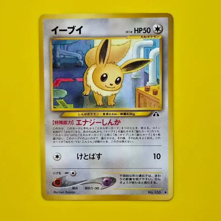 [BUNJANG] Pokemon Card Eevee Neo Genesis Japanese / 포켓몬카드 2000 이브이 초기카드 일본판