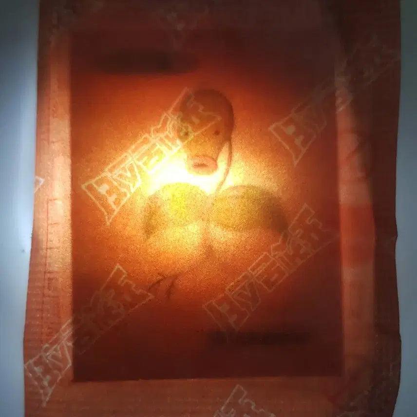 [BUNJANG] Pokemon Original Artwork Modaphi Sealed Sticker / 포켓몬스터 오리지널 아트워크 띠부띠부씰 모다피 미개봉