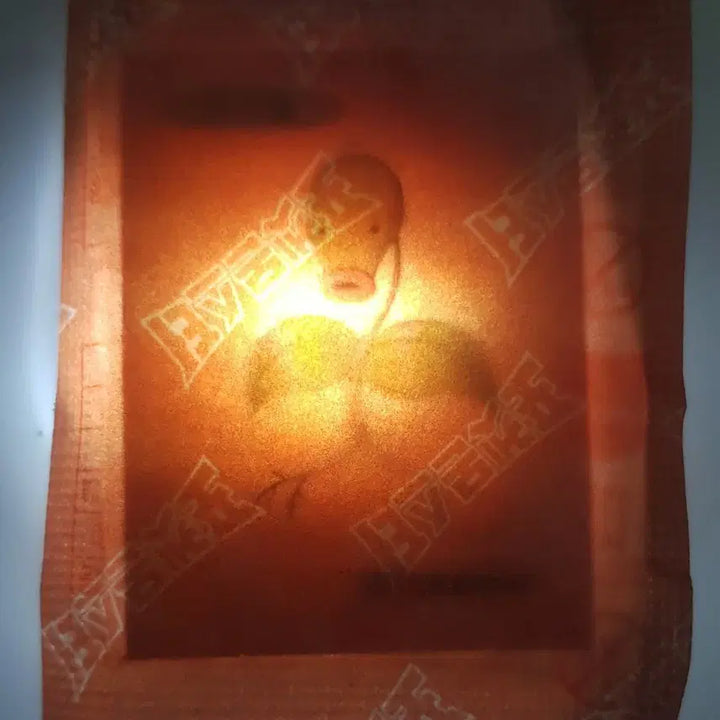 [BUNJANG] Pokemon Original Artwork Modaphi Sealed Sticker / 포켓몬스터 오리지널 아트워크 띠부띠부씰 모다피 미개봉