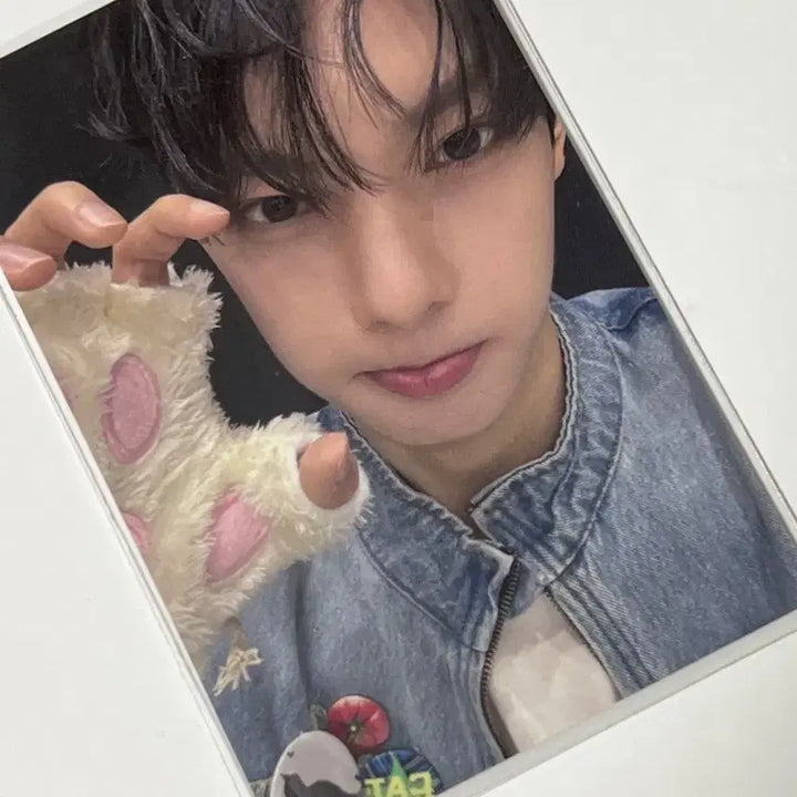 [BUNJANG] Choi Ripwoo Sugar High Shanghai Exhibition Photocard / 최립우 포카 보플 상하이 슈가하이 전시회