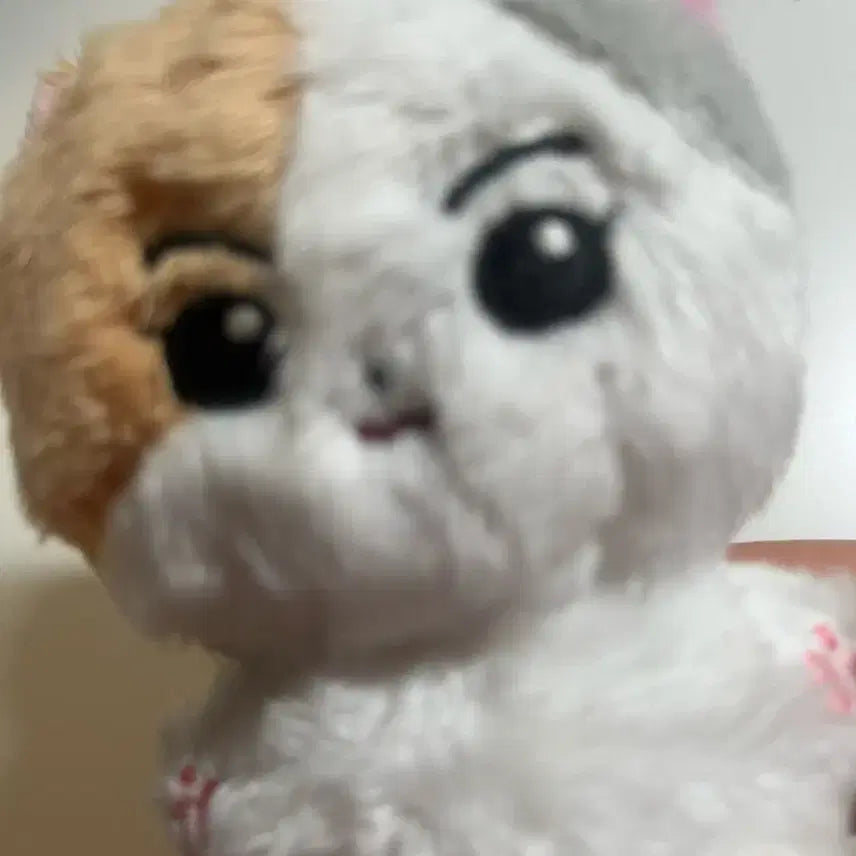 [BUNJANG] ENHYPEN ENnIMALZ Yang Jungwon Cat Plush / 엔하이픈 엔니멀즈 한국냥 양정원 인형