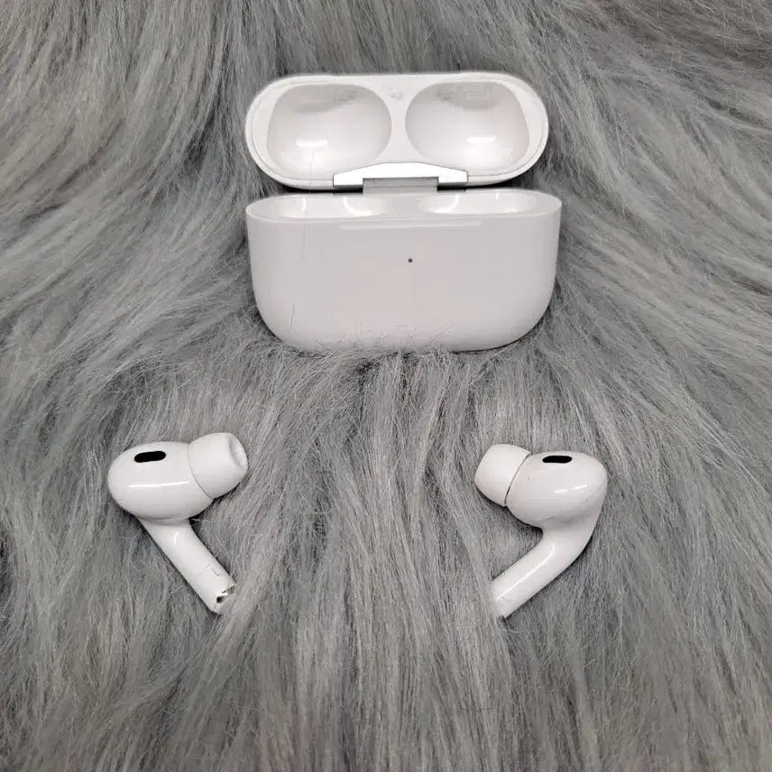[BUNJANG] Apple AirPods Pro 2nd Generation (Lightning) Full Box / SS급 애플 에어팟 프로 2세대 [라이트닝] 풀박스 판매합니다