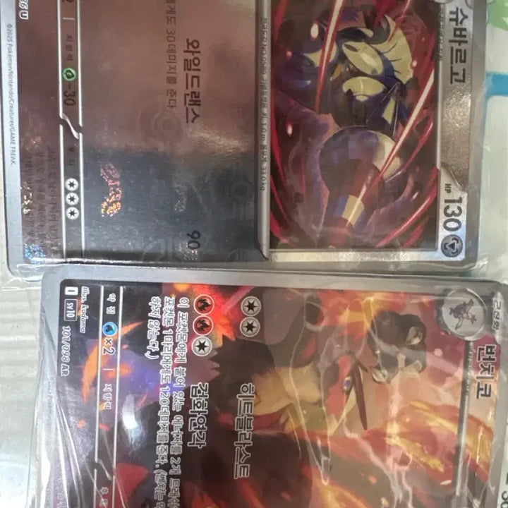 [BUNJANG] Pokemon Card Blaziken &amp; Grovyle / 포켓몬 카드 슈바르고 번치코
