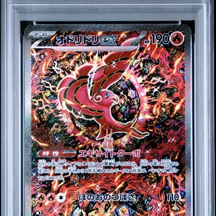 [BUNJANG] Dancing Bird PSA 10 Japanese Version / 일판 춤추새psa10 팔아요!!!