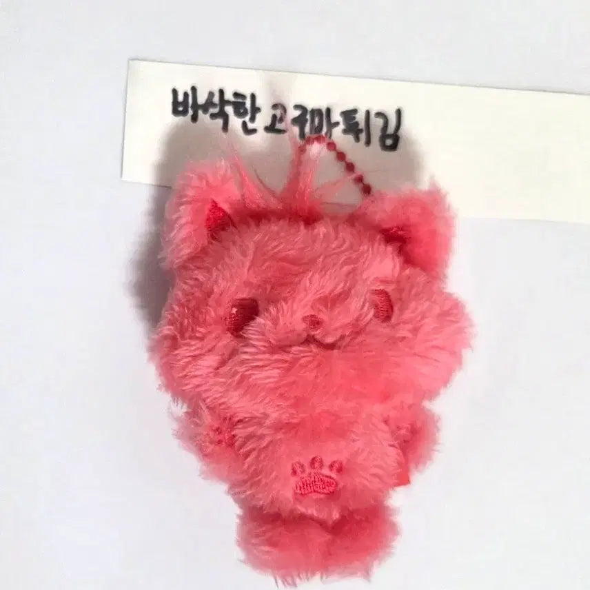 [BUNJANG] NCT WISH Sion Color Doll / 엔시티 위시 컬러돌 위시돌 시온 시오닝 레드