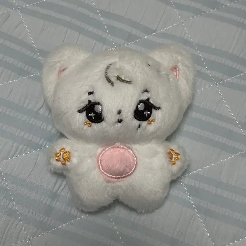 [BUNJANG] SEVENTEEN Seungkwan Bboonyi Doll / 세븐틴 승관 인형 뿌냥이?