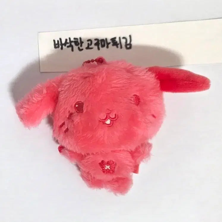 [BUNJANG] NCT WISH Ryo Color Doll / 엔시티 위시 컬러돌 위시돌 료 룐룐 레드