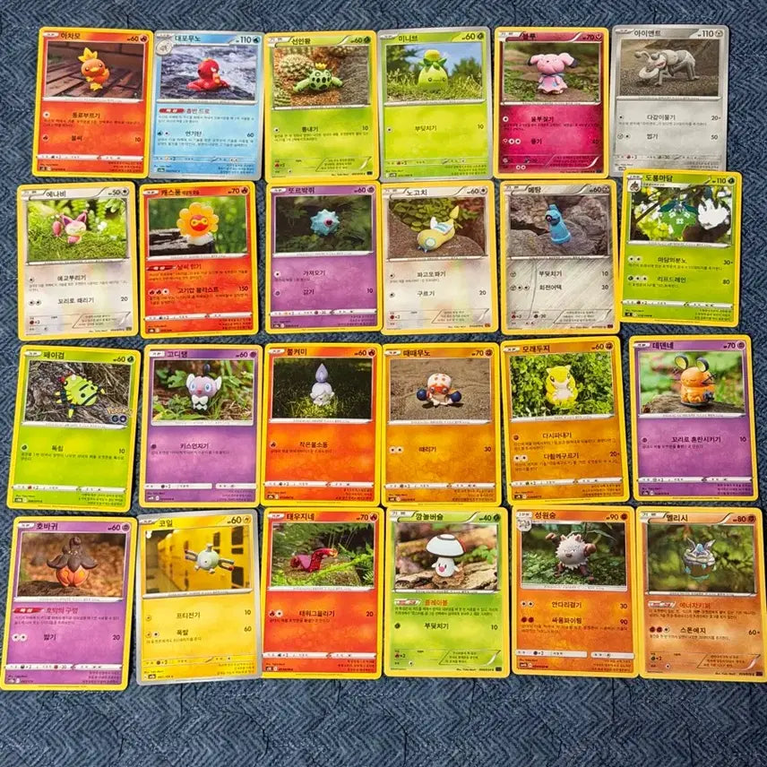 [BUNJANG] Yukamori Illustrated Pokemon Card Collection / 유카모리 일러스트 포켓몬카드 모음
