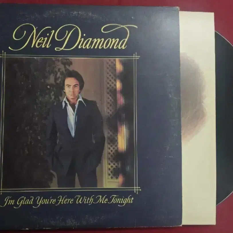 [BUNJANG] Neil Diamond I&