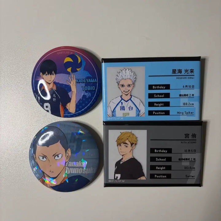 [BUNJANG] Haikyu!! Profile Badge Bundle - Kageyama, Tanaka, Hoshiumi, Atsumu / 반택포)하이큐 뱃지 프로필 일괄 카게야마 다나카 호시우미 아츠무