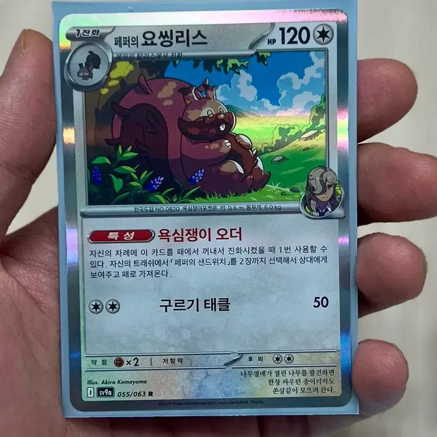 [BUNJANG] Pokemon Card Pepper&
