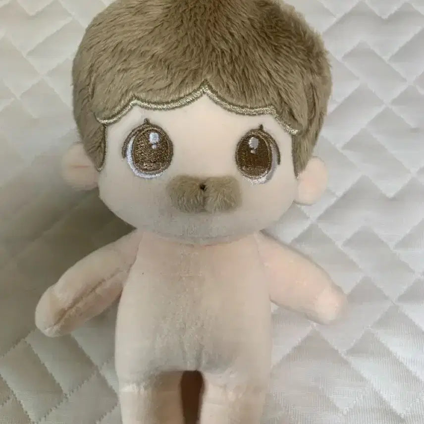 [BUNJANG] 15cm Unspecified Origin Walnut Cat Plush Doll (Nyanghodu) / 15cm 무속성 호두냥 (냥호두)