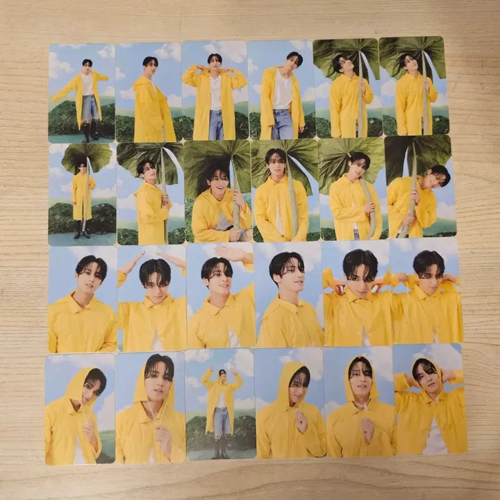 [SOLD OUT] 세븐틴 캐럿반 민규 포카 24장 일괄 양도