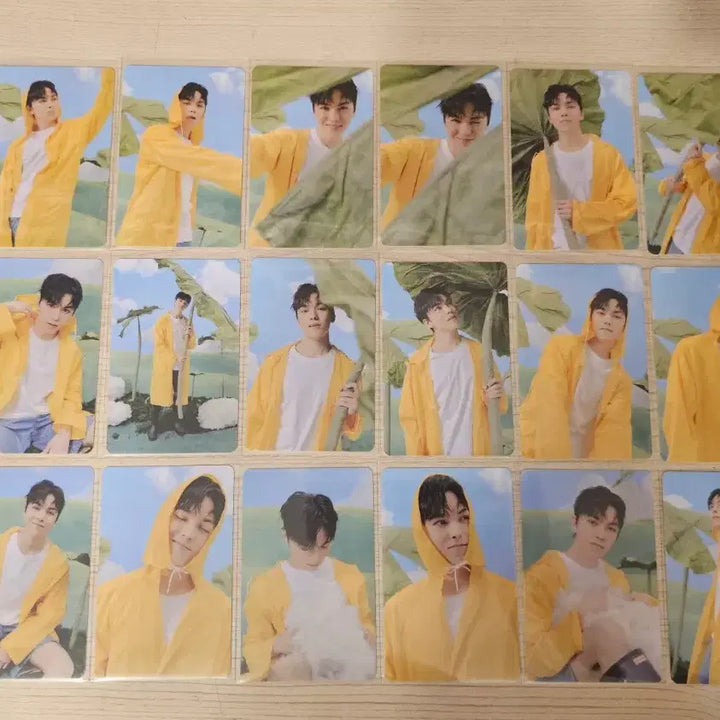 [SOLD OUT] 세븐틴 캐럿반 버논 포카 18장 일괄 양도