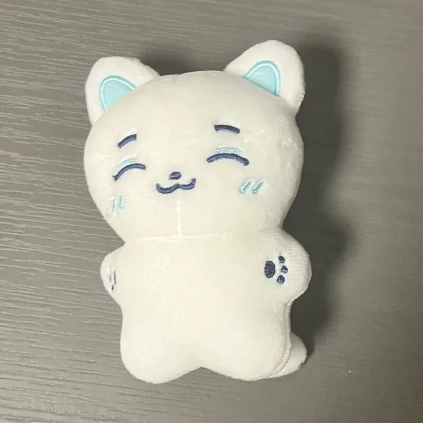 [BUNJANG] fromis_9 Baek Ji-heon Live Cafe Plush Doll / 프로미스나인 백지헌 생캎 인형