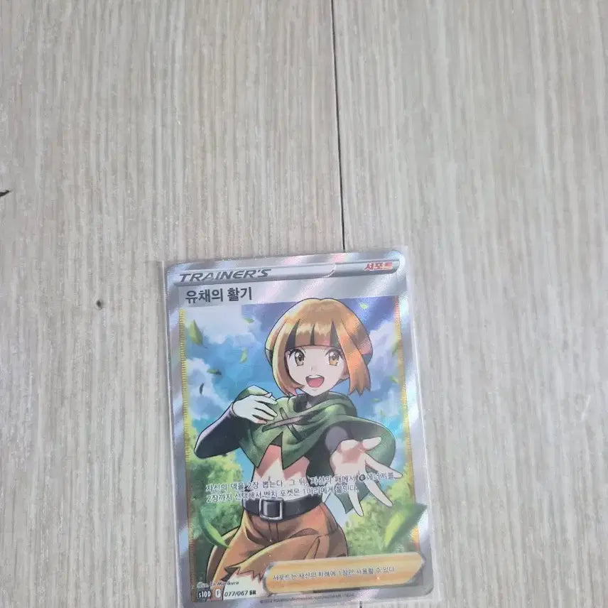 [BUNJANG] Pokemon Card: Vibrant Bloom / 유채의활기