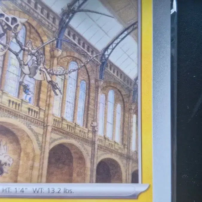[BUNJANG] Pokemon Card Pikachu At The Museum / 포켓몬카드 피카츄 앳 더 뮤지엄