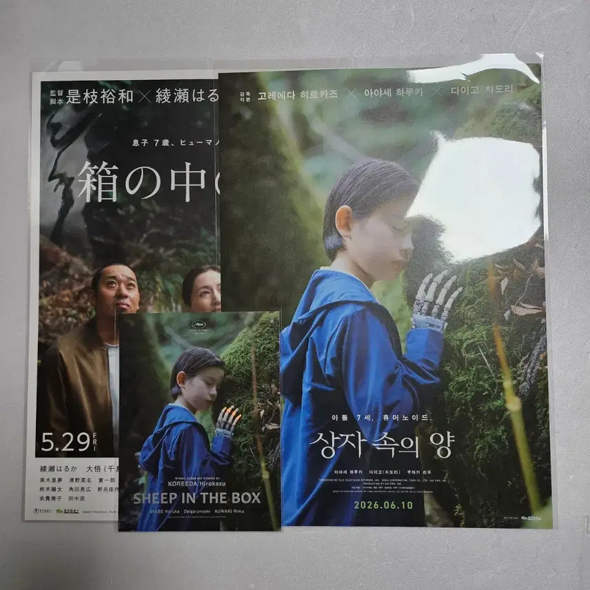 [BUNJANG] BOX OF LAMB Poster / Art Card / 상자 속의 양 포스터 / 아트카드 5000