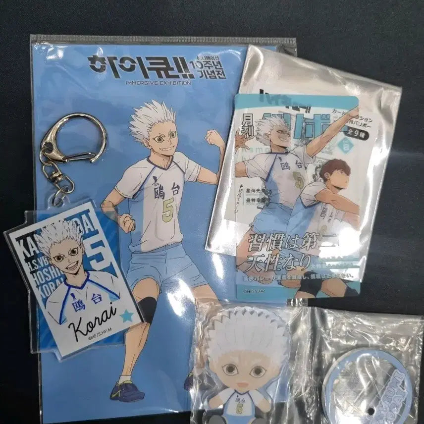 [BUNJANG] Haikyuu!! Hoshiumi Korai 10th Anniversary Postcard/Fair Clear Card Bundle Set / [하이큐 굿즈](일괄)카모메 호시우미 10주년 엽서/페어 클리어 카드 등