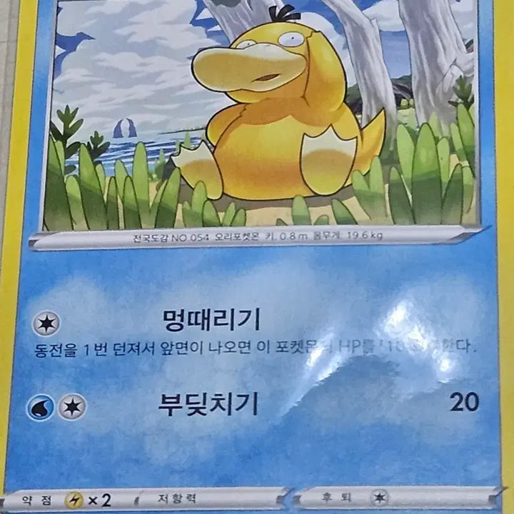 [BUNJANG] Pokemon Psyduck Trading Card / 포켓몬 카드 고라파덕