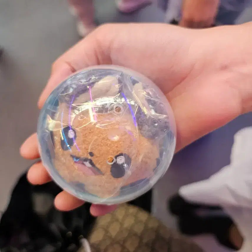 [BUNJANG] Pokemon Metamon Playground Dedenne Mirror Smart Talk / 포켓몬 미러 스마트톡 메타몽 플레이그라운드 데덴네