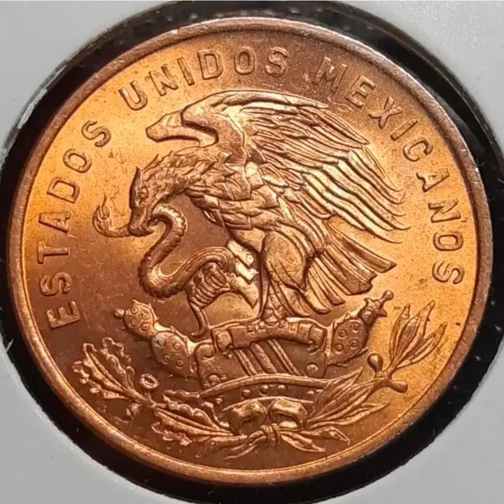 [BUNJANG] Mexico 1967 20 Centavos Large Coin (Unused) / 멕시코 미사용 1967년 20센타보스 대형주화.주화 동전 화폐 외국주화