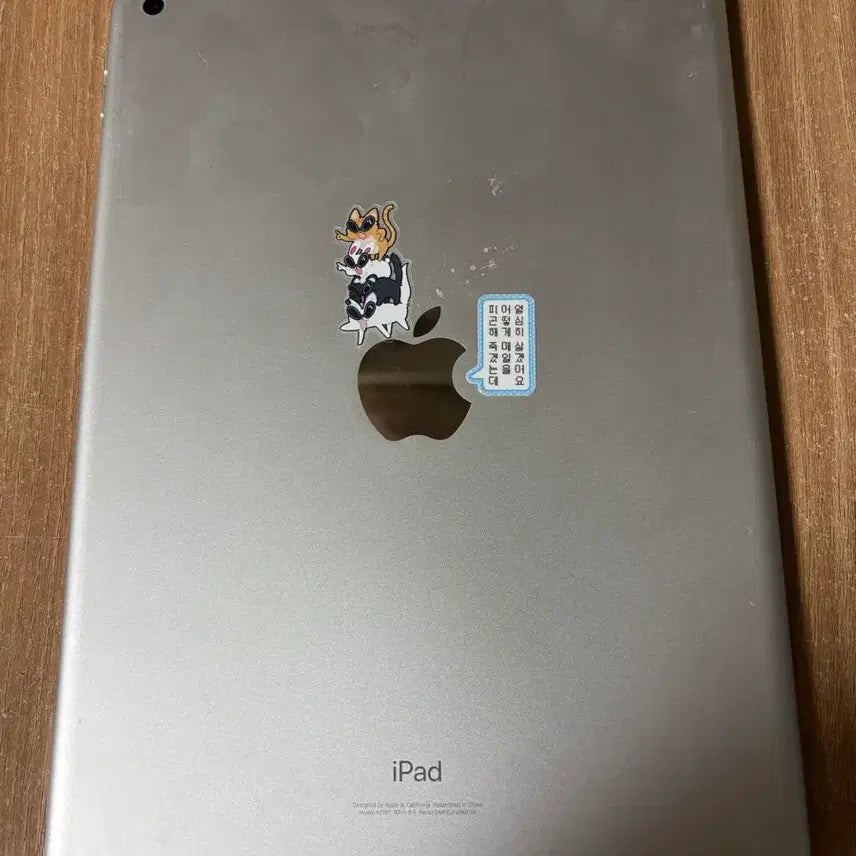 [BUNJANG] Apple iPad 7th Gen 32GB / 아이패드 7세대 32GB