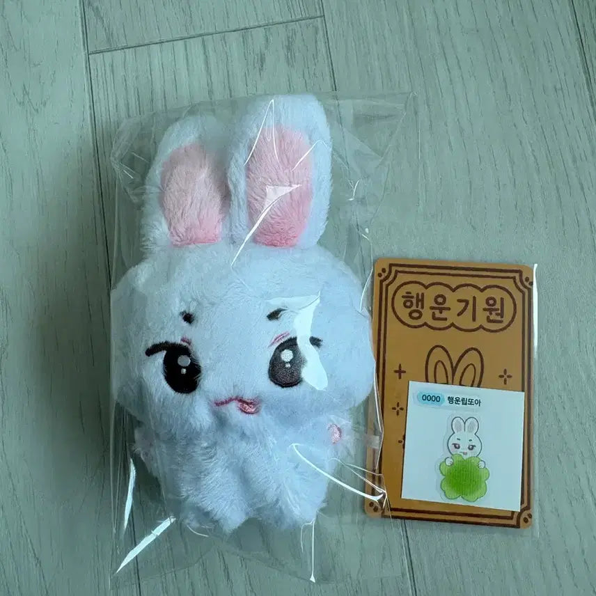[BUNJANG] BOYZ PLANET FlareU Choi Lapwoo Doll Lipddua / 보이즈플래닛 플레어유 최립우 인형 립또아