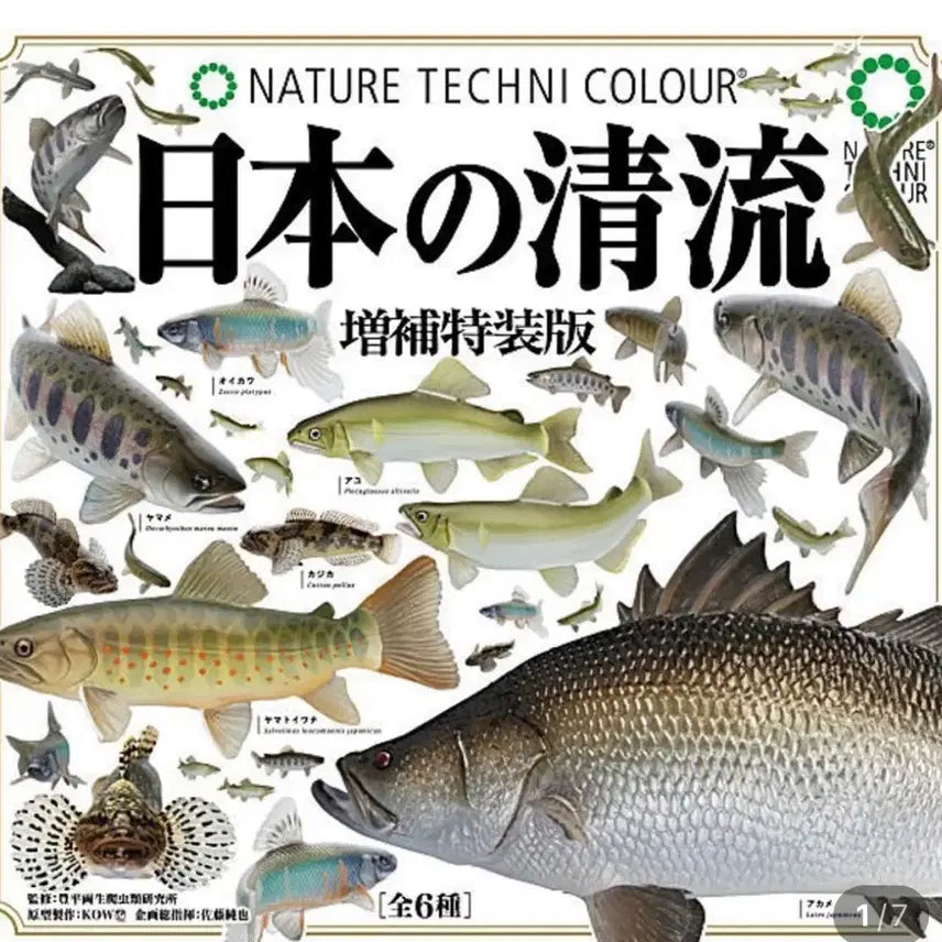 [BUNJANG] Freshwater Fish Full Set Gacha Figures / 일본가챠 생물가챠 민물고기 풀셋판매