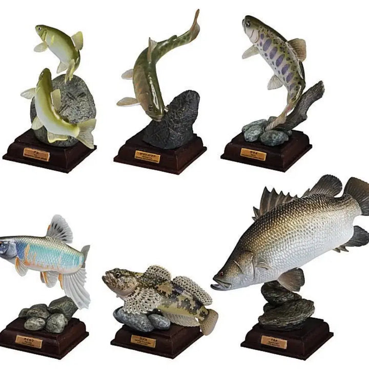 [BUNJANG] Freshwater Fish Full Set Gacha Figures / 일본가챠 생물가챠 민물고기 풀셋판매