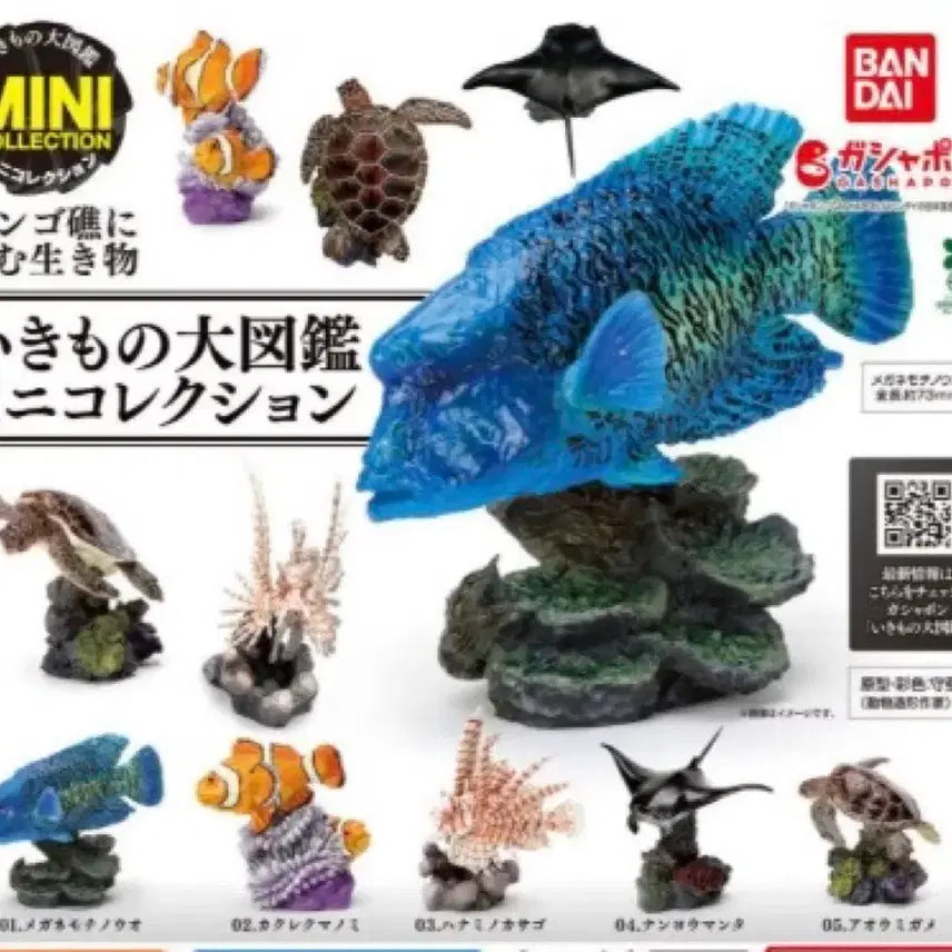 [SOLD OUT] 일본가챠 산호초생물피규어 풀셋판매