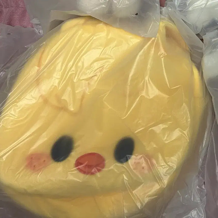 [BUNJANG] Stray Kids Bbokari Face Shoulder Bag Felix / 미개봉 스키즈 뽁아리 페이스 숄더백 가방 스키주 필릭스 skz