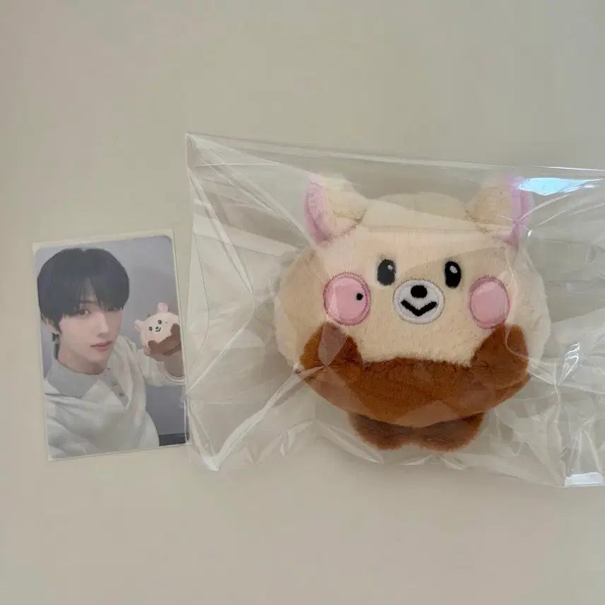 [SOLD OUT] (운포) 엔시티드림 지성 라인프렌즈 드리미즈 밤찌 인형 양도 포카 포함