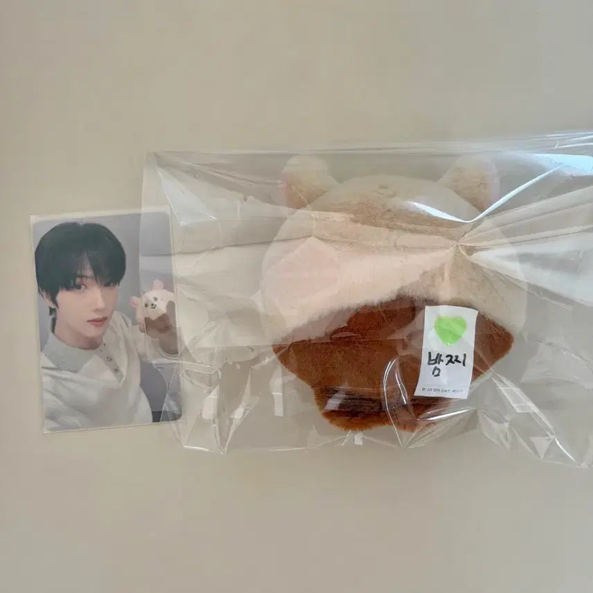 [SOLD OUT] (운포) 엔시티드림 지성 라인프렌즈 드리미즈 밤찌 인형 양도 포카 포함