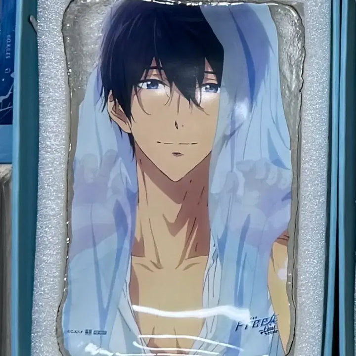 [BUNJANG] Pop Mart Free! Nanase Haruka Plate / 프리! free! 팝마트 쿠지 나나세 하루카 그릇 플레이트