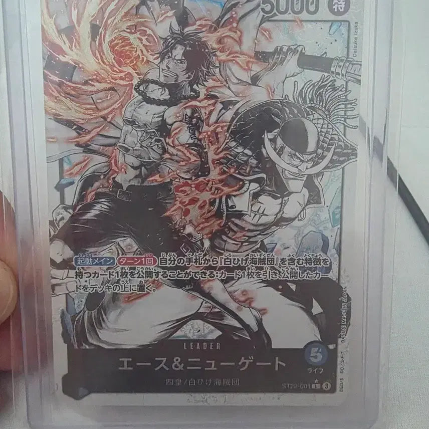 [BUNJANG] One Piece Ace Whitebeard Black and White Leader Pair Card / 에이스흰수염 흑백 리더페레 판매