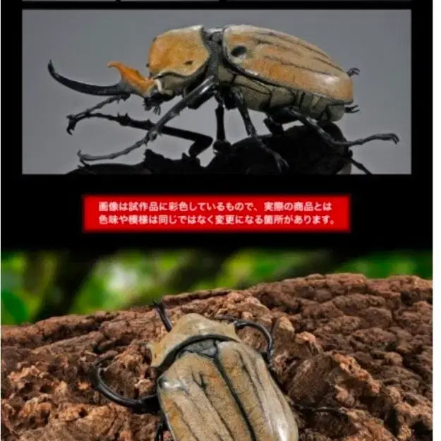 [BUNJANG] Bandai Bio-Attack Advance Elephant Beetle Elephas (4) Sealed / 생물대도감 어드밴스 장수풍뎅이 4번 엘레파스 코끼리 장수풍뎅이
