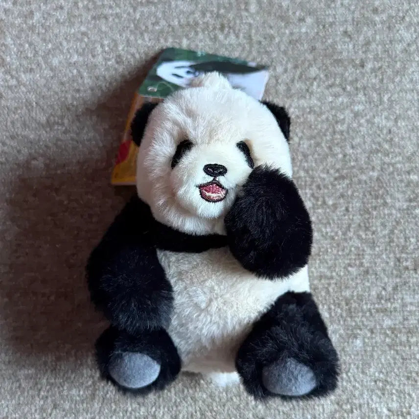 [BUNJANG] Fu Bao Plush / 푸바오