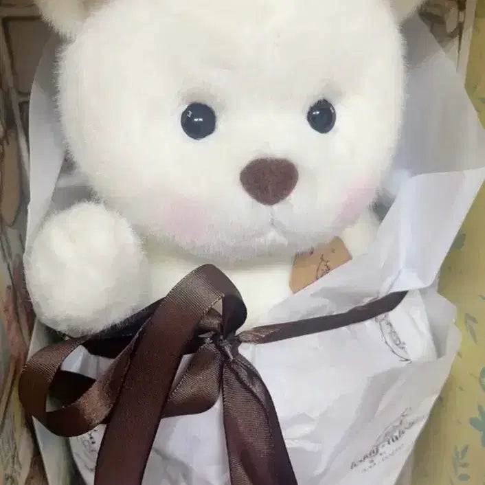 [BUNJANG] Teddy Tales Rena Bear Medium White Bear Plush / 테디테일즈 레나베어 화이트곰인형 미디엄 M