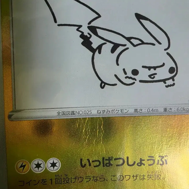 [BUNJANG] Pokemon Card Pikachu Promo (Unsealed) / 포켓몬카드 유나가바 피카츄 프로모 미개봉