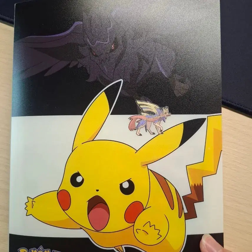 [BUNJANG] Pokemon Card Binder / 포켓몬카드 도감(영상시청)(가격문의 편하게 해주세요)