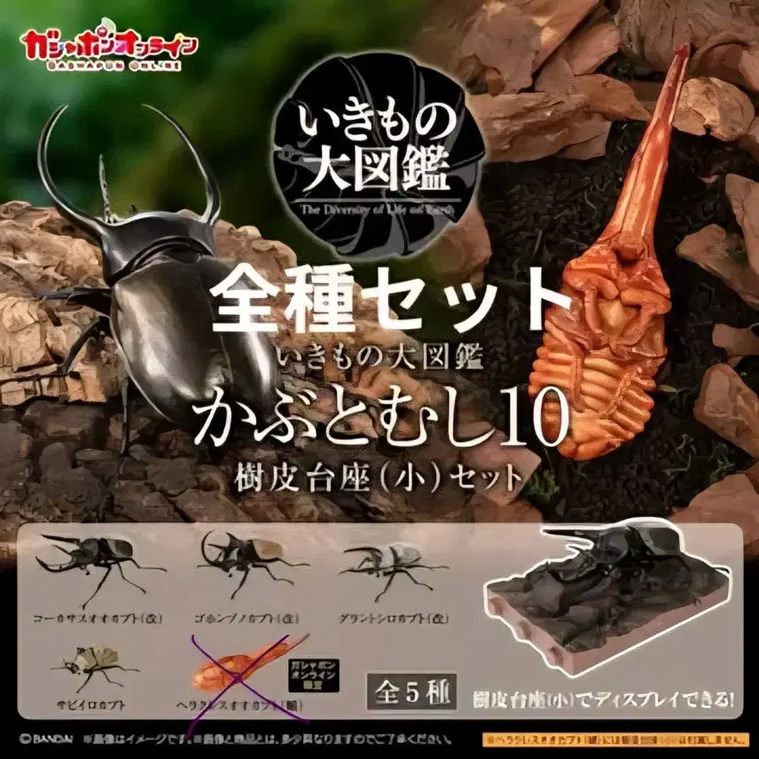 [BUNJANG] Bandai Gacha Living Creatures Encyclopedia Rhinoceros Beetle Online Edition Vol. 10 / 생물대도감 장수풍뎅이 온라인판 10탄