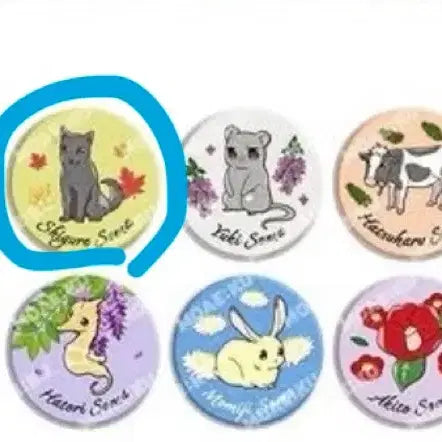 [BUNJANG] MoeKuru Fruits Basket Popup Random Can Badge Bundle Set / [새상품] 모애쿠 후르츠 바스켓 팝업 랜덤 캔뱃지 2개 일괄