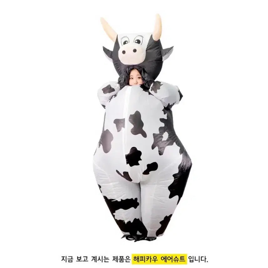 [SOLD OUT] 젖소 에어슈트 판매