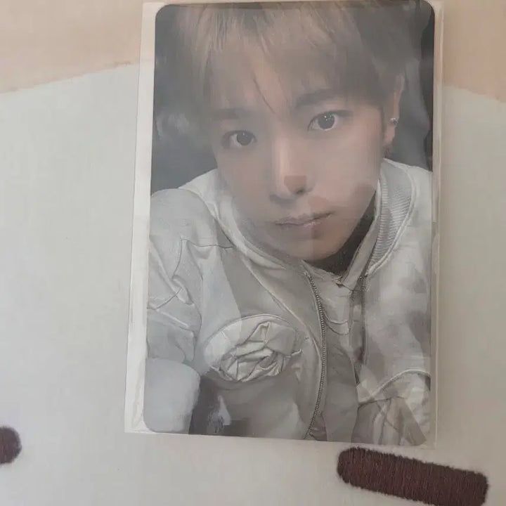 [SOLD OUT] 버블냥니 쿠션 포카 미개봉 양도