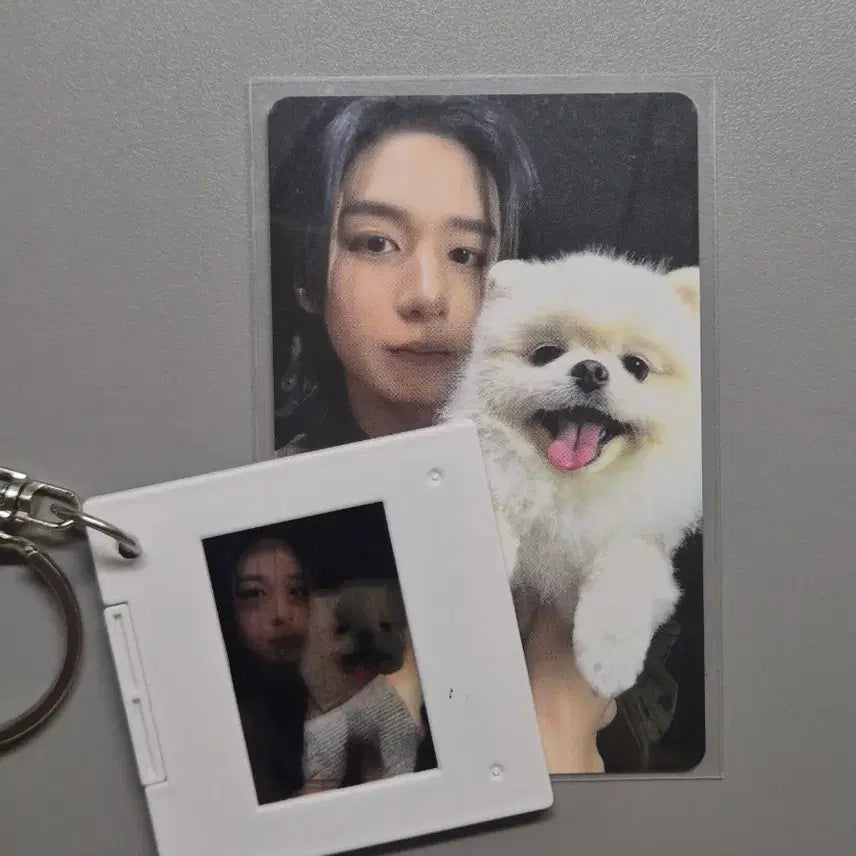 [BUNJANG] BOYNEXTDOOR Leehan Weverse POB Photocard / 보넥도 보이넥스트도어 이한 위버스특전 짱이포카키링 판매