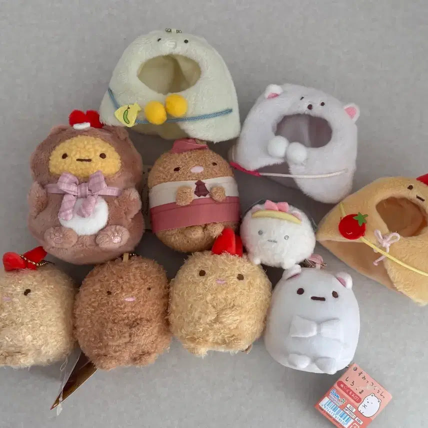 [SOLD OUT] 스밋코구라시 10개 일괄